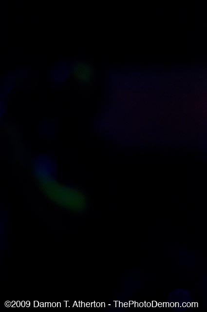 _DSC7113