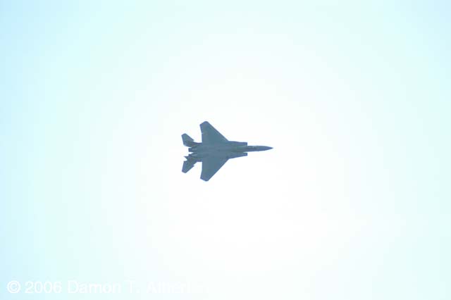 DSC_1804